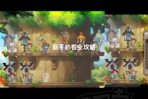 新手必看全攻略
