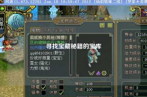 寻找宝藏秘籍的宝库